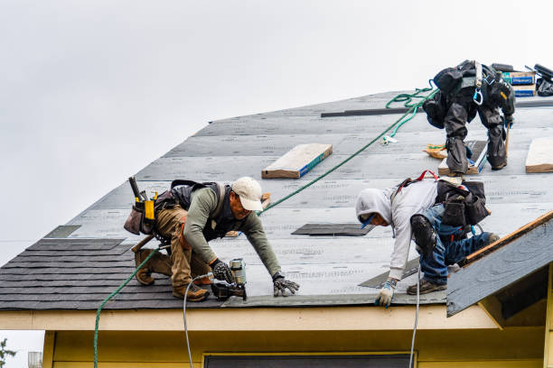Professional Roofing technician working in Coloma, MI